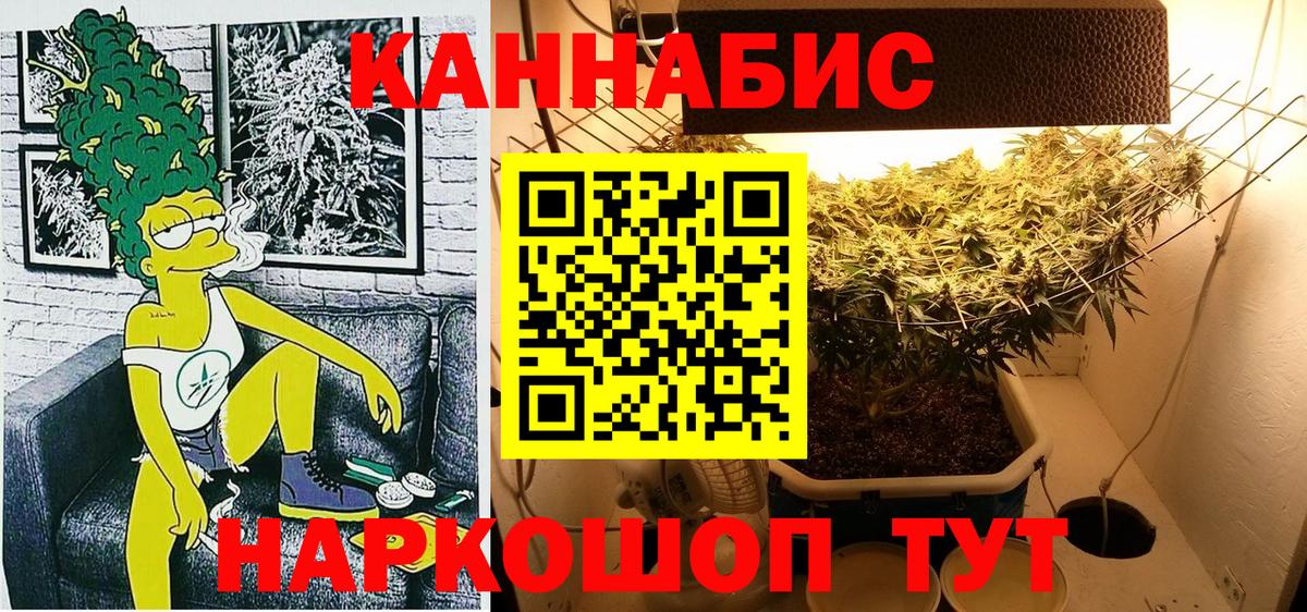 Бошки Шишки марихуана  МАРИХУАНА гибрид  Вход с VPN  Родники  МАРИХУАНА сатива  Бошки марихуана планчик 